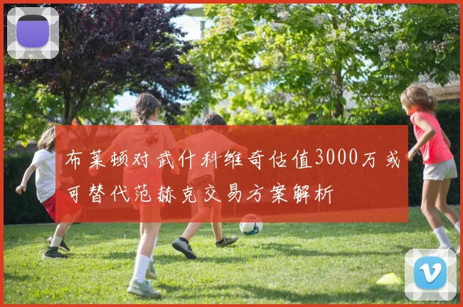 布莱顿对武什科维奇估值3000万或可替代范赫克交易方案解析